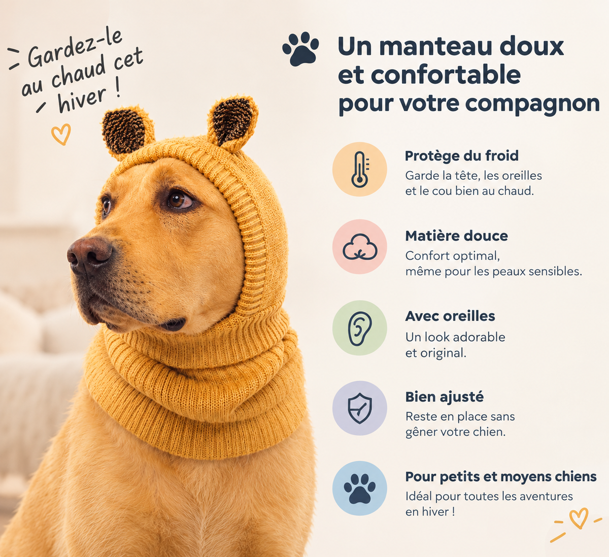 Chapeau chaud pour chien - explications et caractéristiques